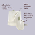 Lavender Plug In Scented Oil Refill, 2-Pack - Home Care