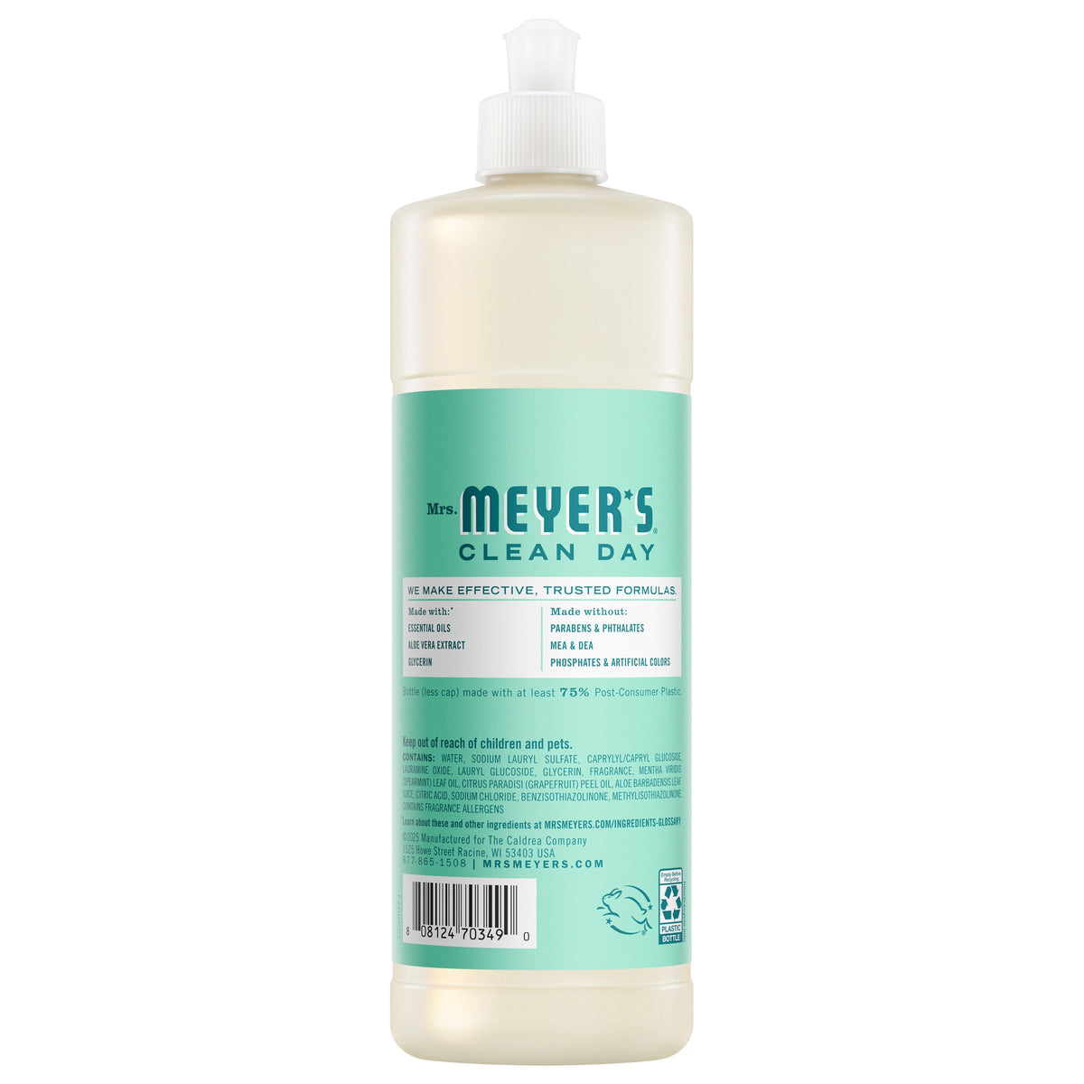 Mint Dish Soap - Home Care