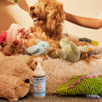 Home Care Pet Cleaning Essentials Set