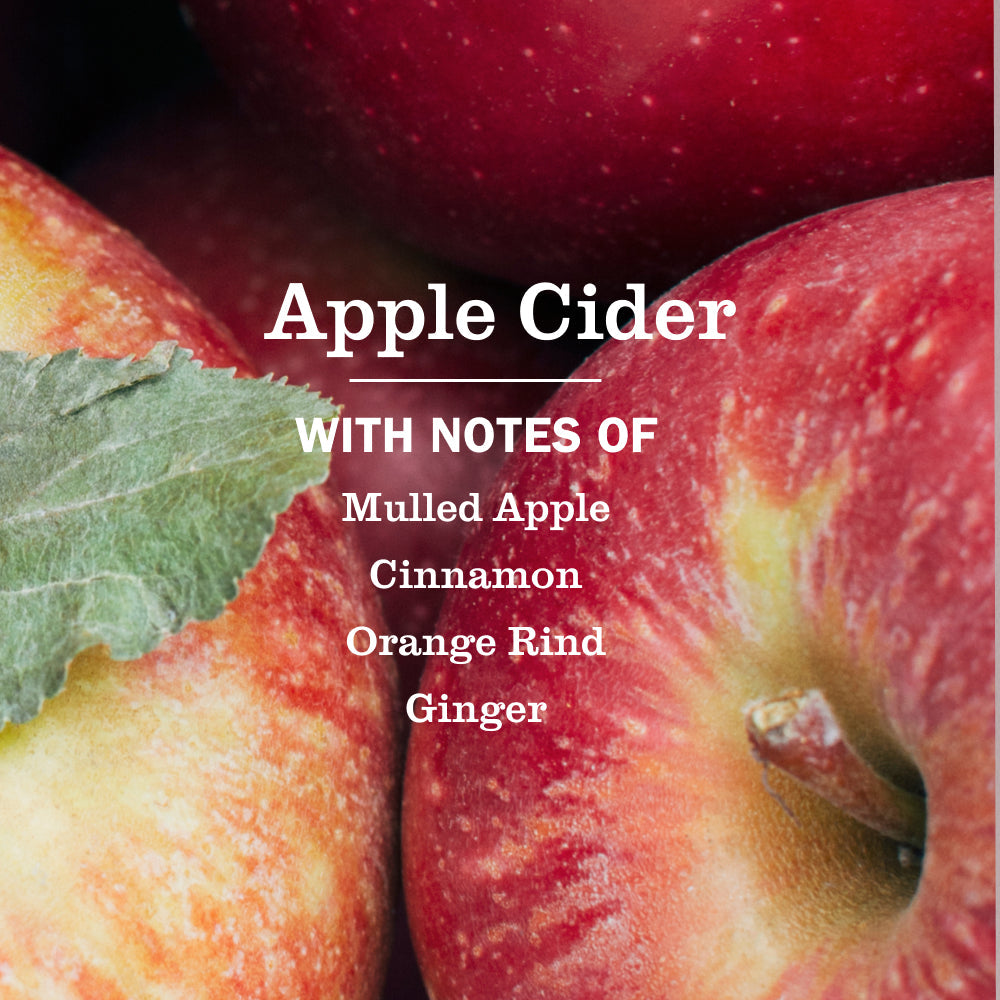 Home Care Apple Cider Plug In Scented Oil Refill, 2-Pack
