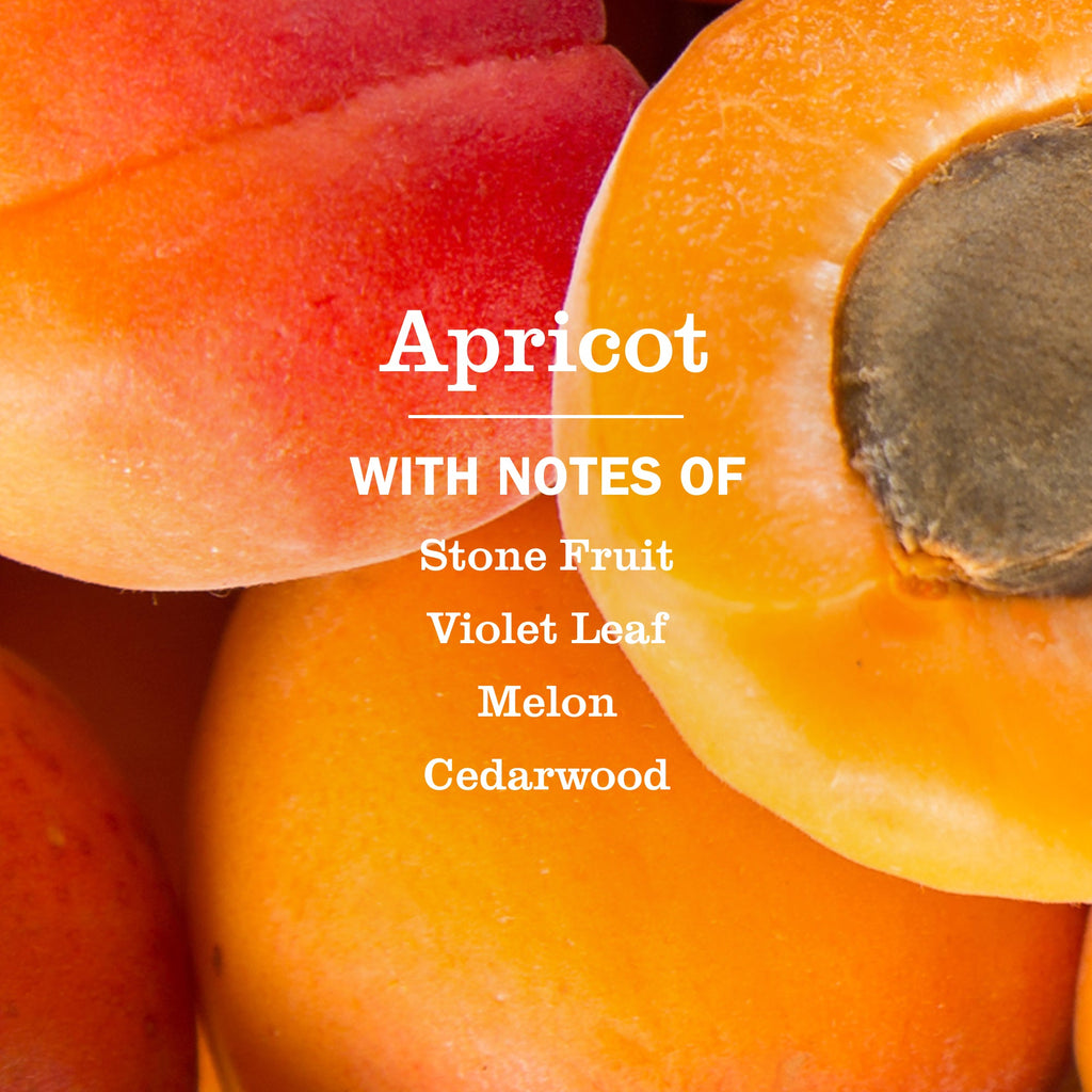 Apricot Liquid Hand Soap - Home Care