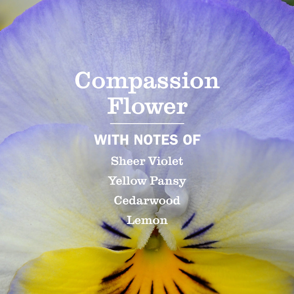 Compassion Flower Plug In Scented Oil Refill, 2-Pack - Home Care