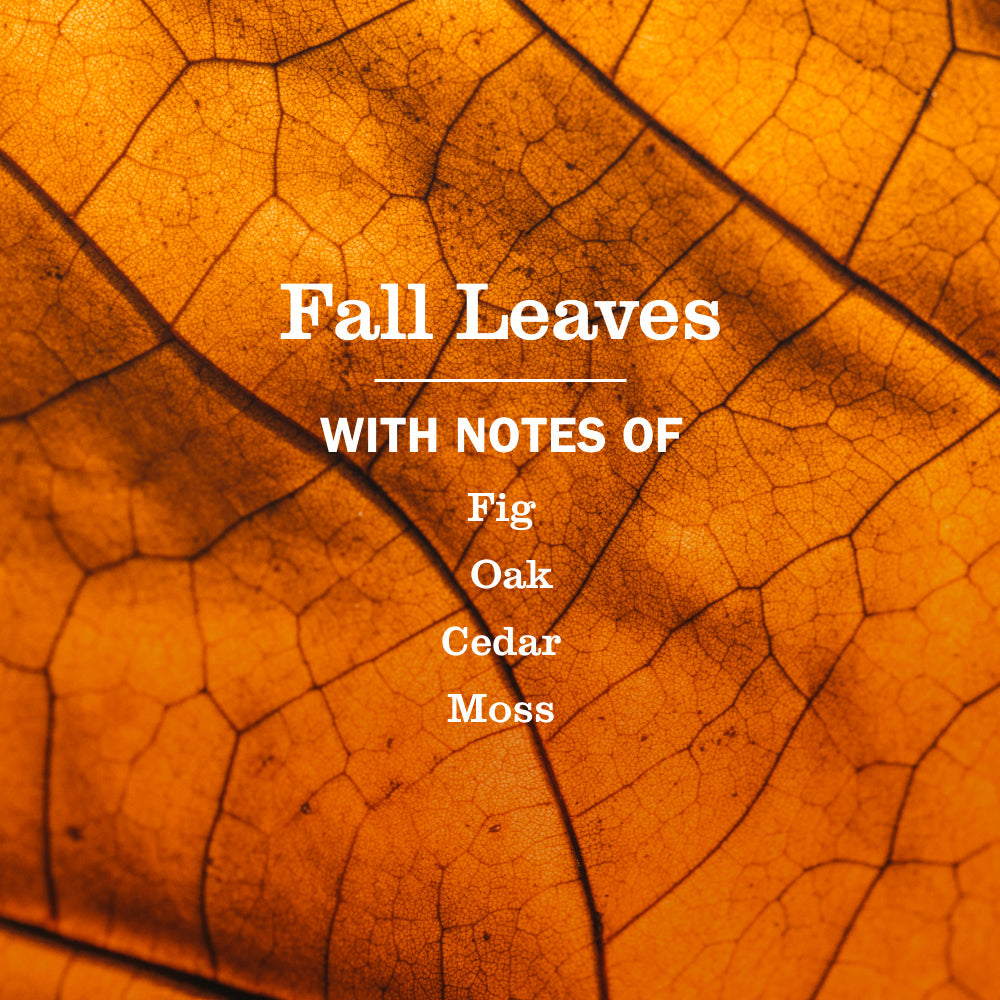 Fall Leaves Dish Soap - Home Care