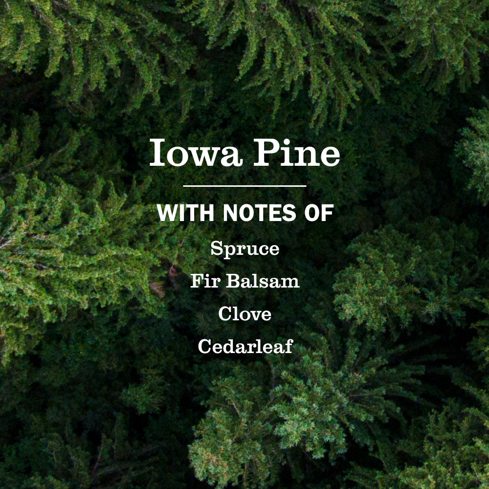 Home Care Iowa Pine Plug In Scented Oil Warmer With Refill