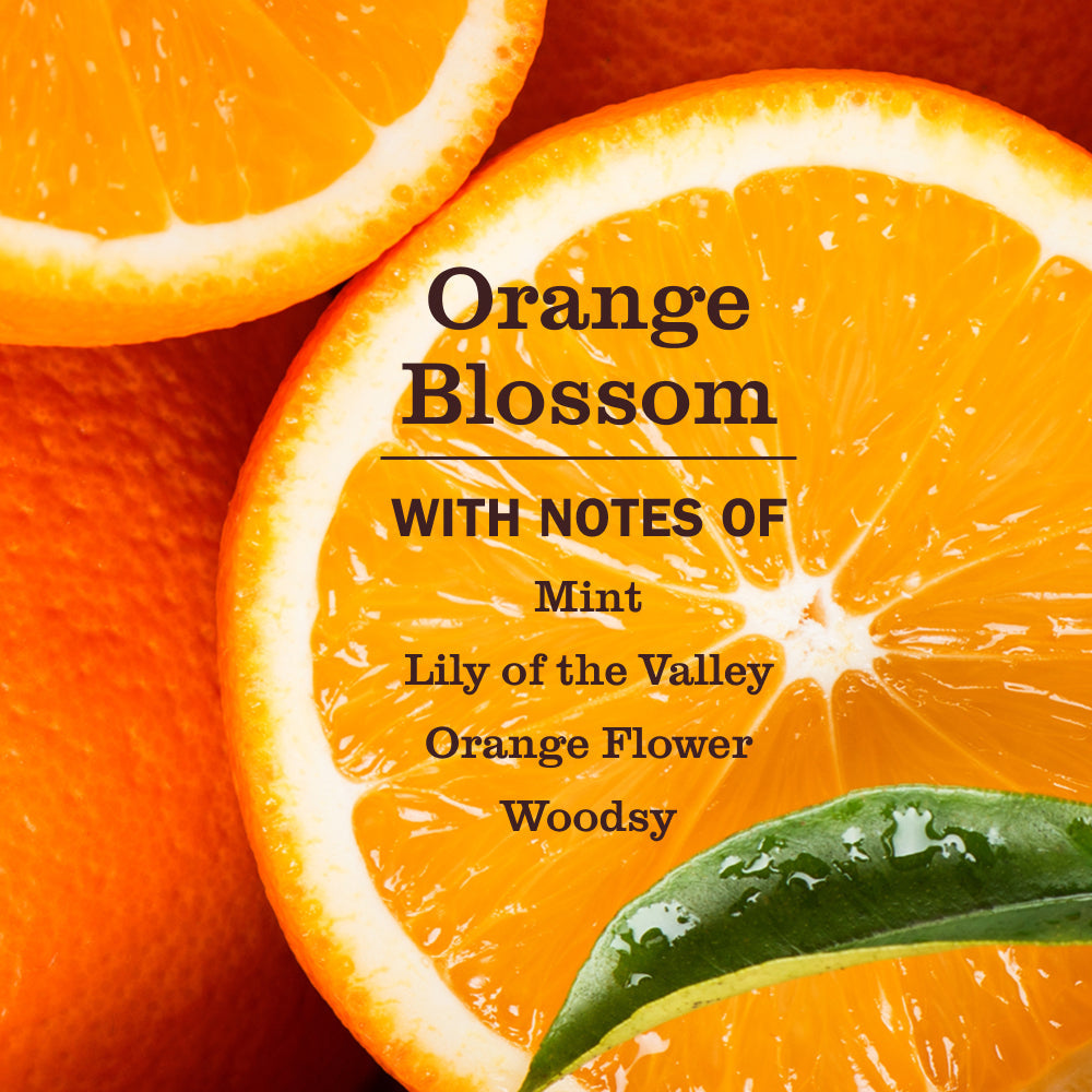 Orange Blossom Pet Multi-Surface Cleaner - Home Care