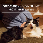White Peach Cat Deodorizing Spritz - Home Care