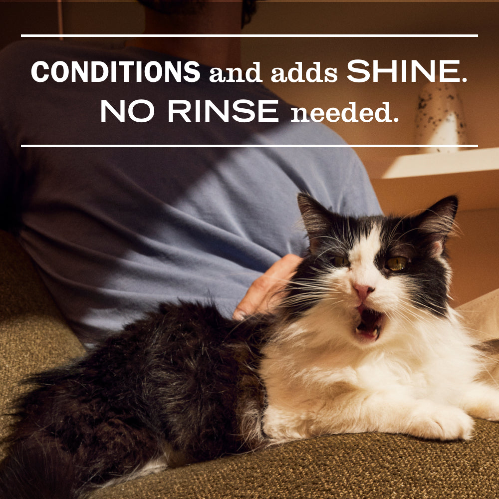 Cat Care Set - Home Care