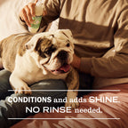 Sweet Chamomile Dog Deodorizing Spritz - Home Care
