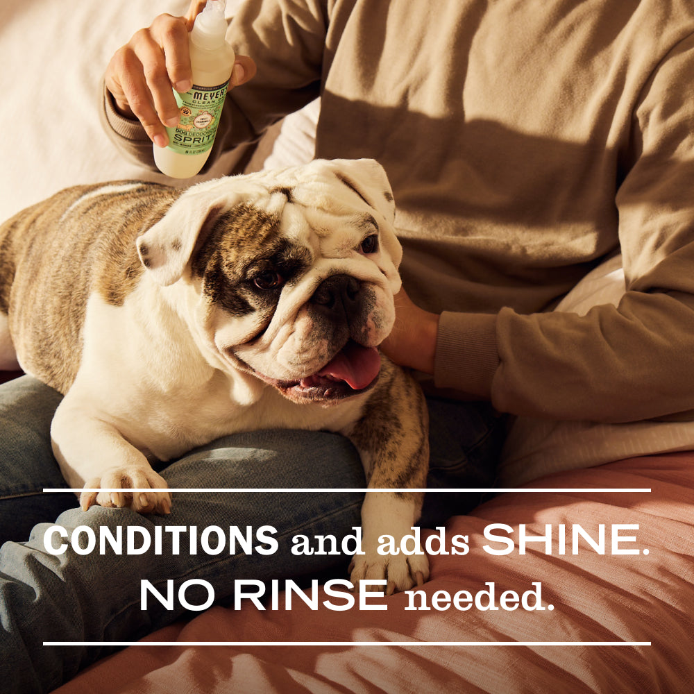 Sweet Chamomile Dog Deodorizing Spritz - Home Care