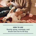 Sweet Chamomile Dog Deodorizing Spritz - Home Care