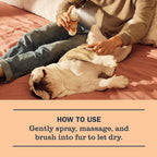 Home Care White Peach Dog Deodorizing Spritz