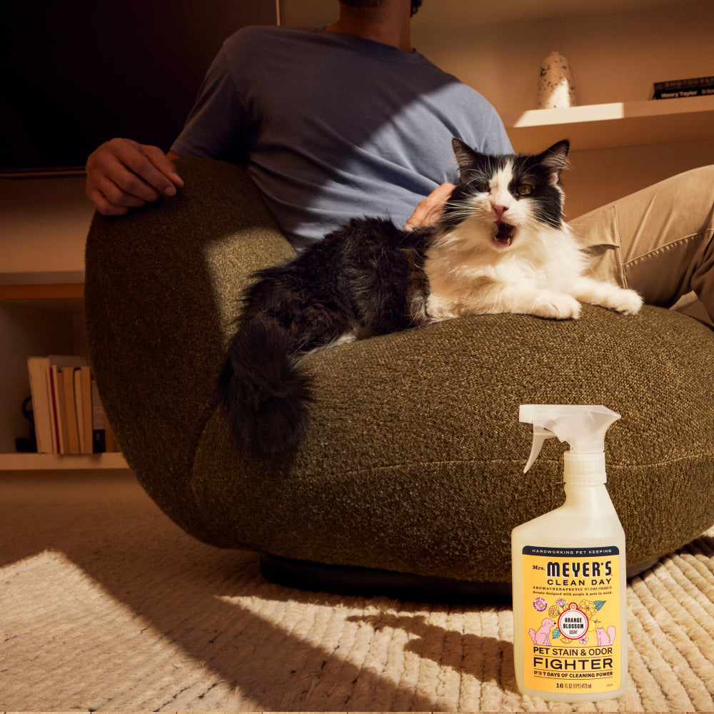 Orange Blossom Pet Stain & Odor Fighter - Home Care