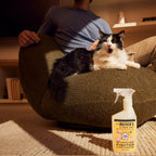 Orange Blossom Pet Stain & Odor Fighter - Home Care