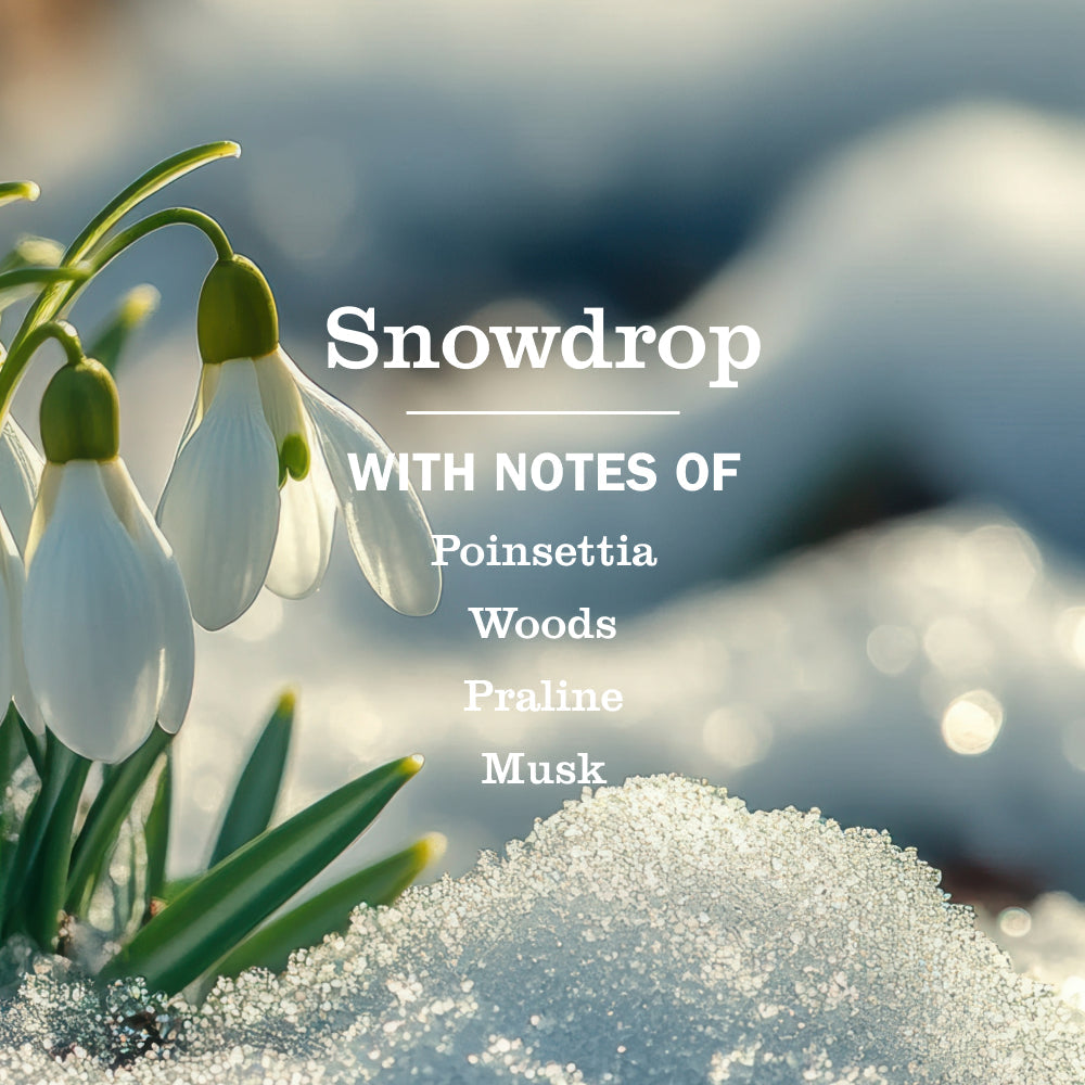 Snowdrop Plug In Scented Oil Warmer With Refill - Home Care