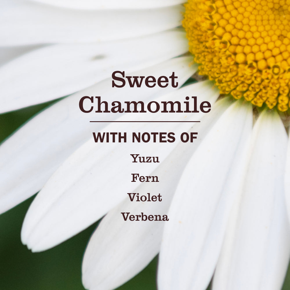 Sweet Chamomile Dog Deodorizing Spritz - Home Care