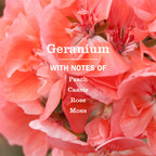 Multi-Surface Everyday Cleaner - Geranium