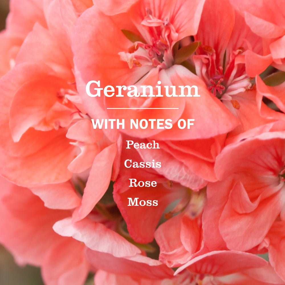 Home Care Geranium Liquid Hand Soap Refill