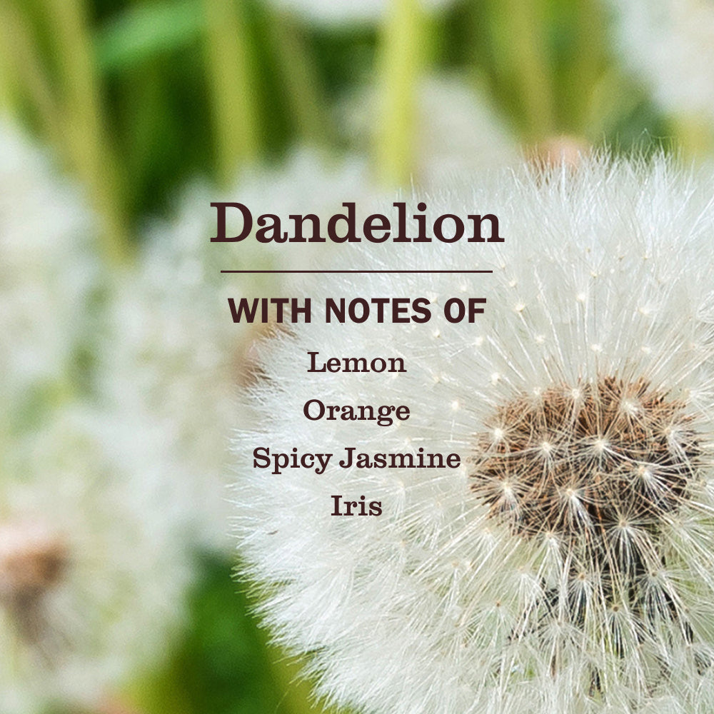 Dandelion Multi-Surface Everyday Cleaner - Home Care