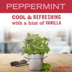 Peppermint Soy Candle Large - Home Care