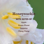Honeysuckle Kitchen Basics Set - Home Care