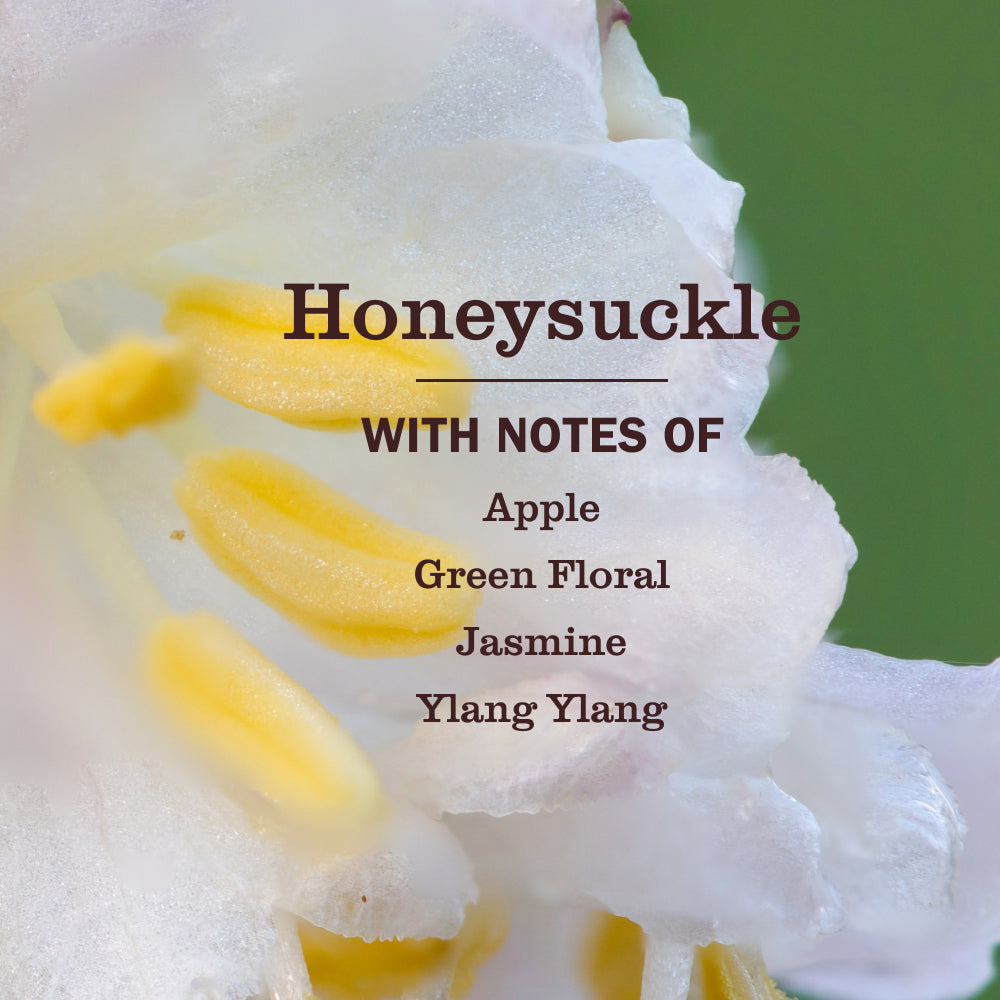 Honeysuckle Kitchen Basics Set - Home Care