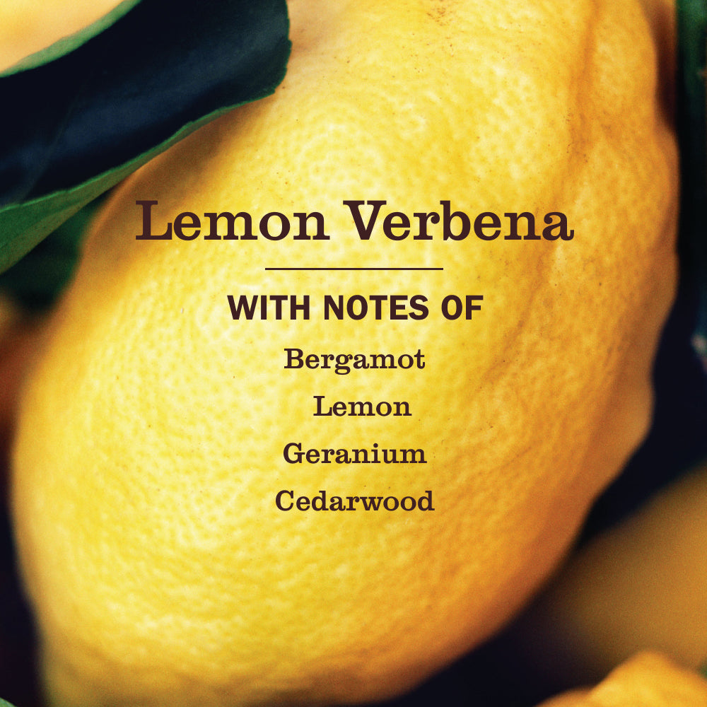 Home Care Lemon Verbena Liquid Hand Soap