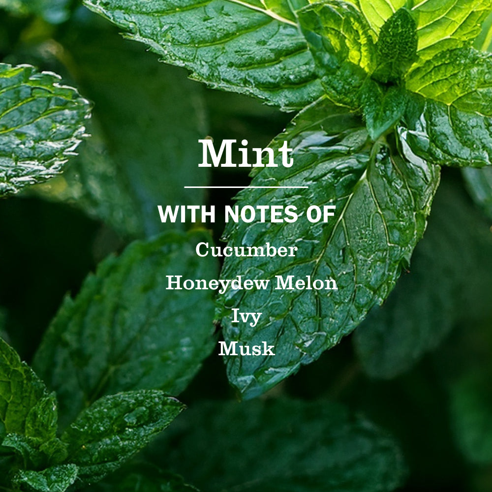 Mint Room Freshener - Home Care