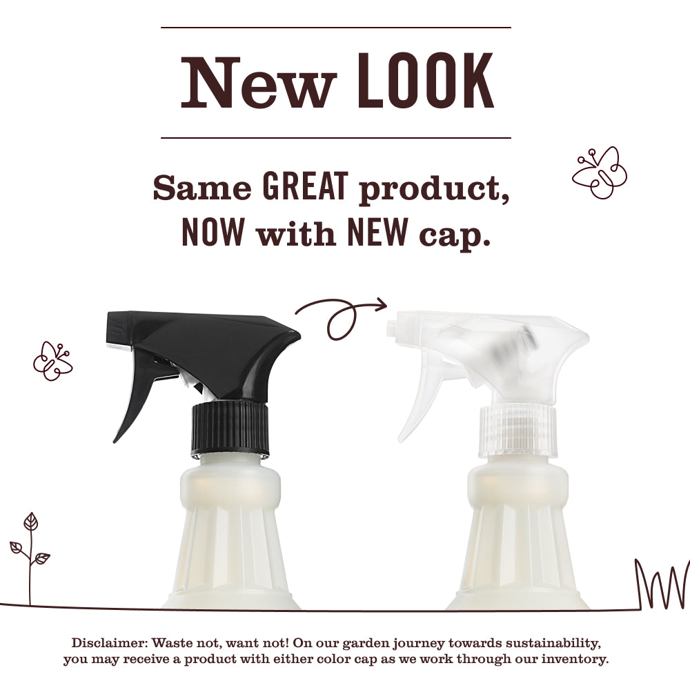 Iowa Pine Multi-Surface Everyday Cleaner - Home Care