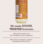 Home Care Apple Cider Room Freshener