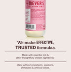 Home Care Peppermint Room Freshener