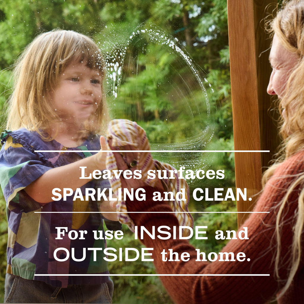 Lavender Glass Cleaner - Home Care