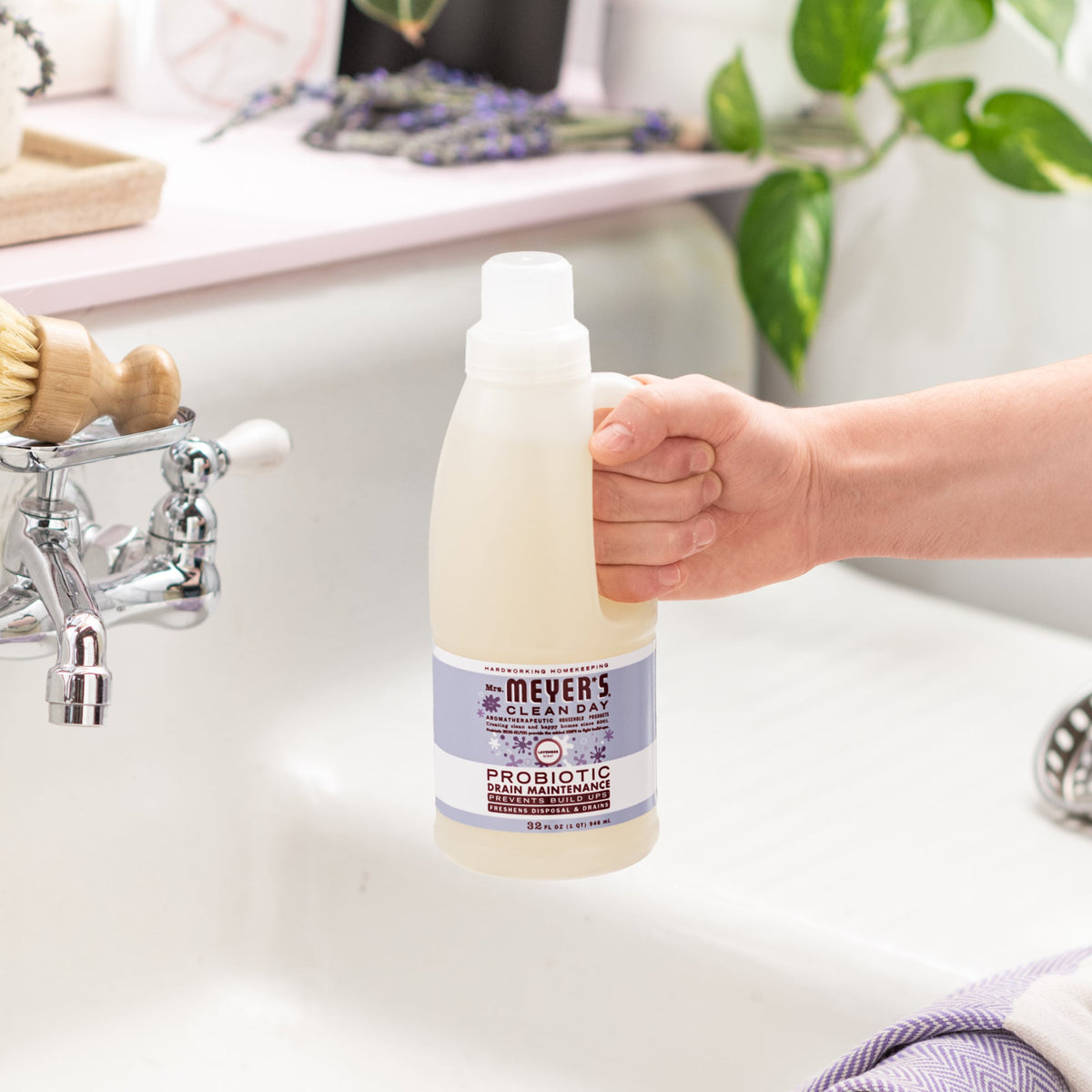 Lavender Probiotic Drain Maintenance - Home Care