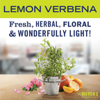Home Care Lemon Verbena Vinegar Gel Cleaning Spray