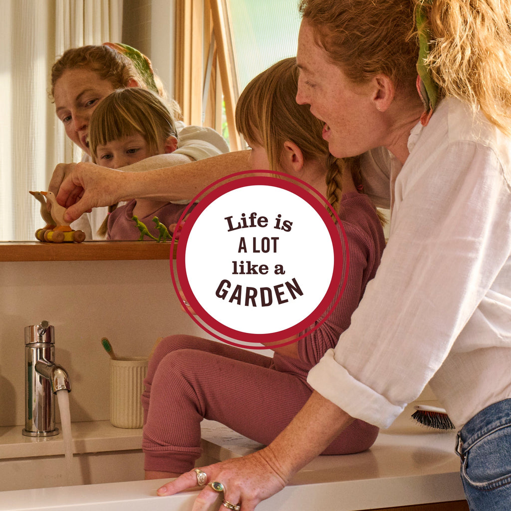 Lavender Glass Cleaner - Home Care