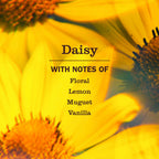 Daisy Liquid Hand Soap - Home Care