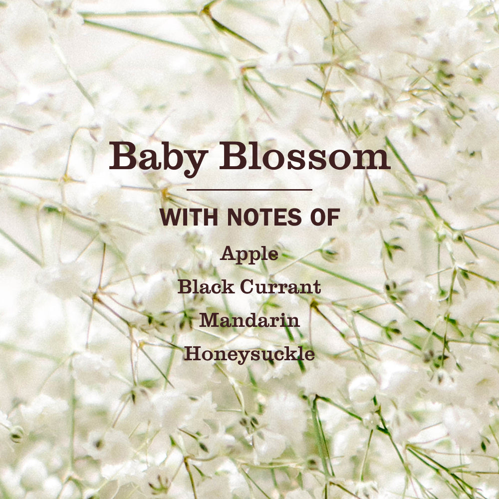 Home Care Baby Blossom Laundry Detergent
