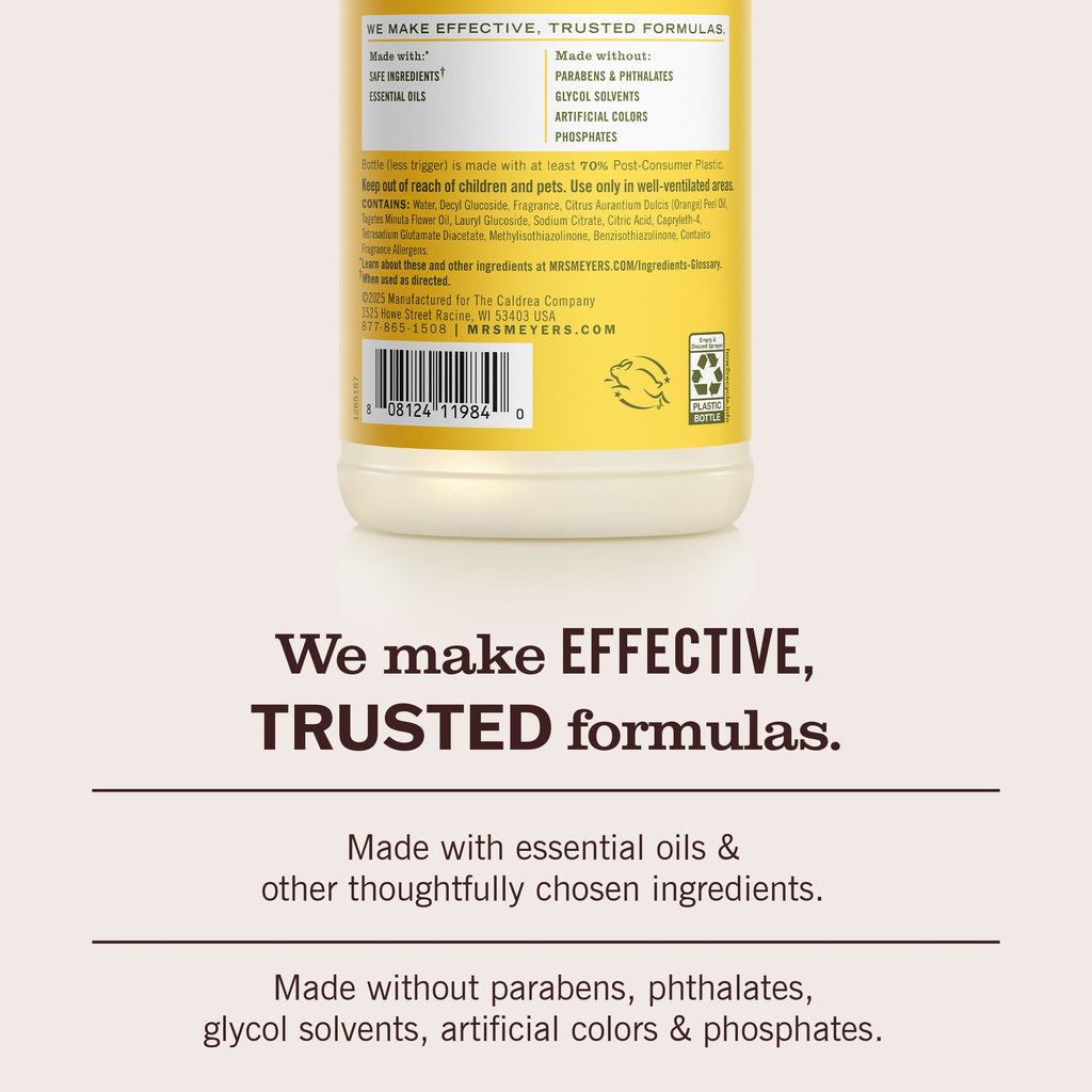 Dandelion Multi-Surface Everyday Cleaner - Home Care