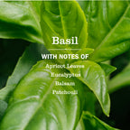 Basil Multi-Surface Everyday Cleaner - Home Care
