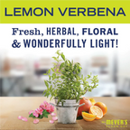 Home Care Lemon Verbena Baking Soda Cream Cleaner - 16 oz