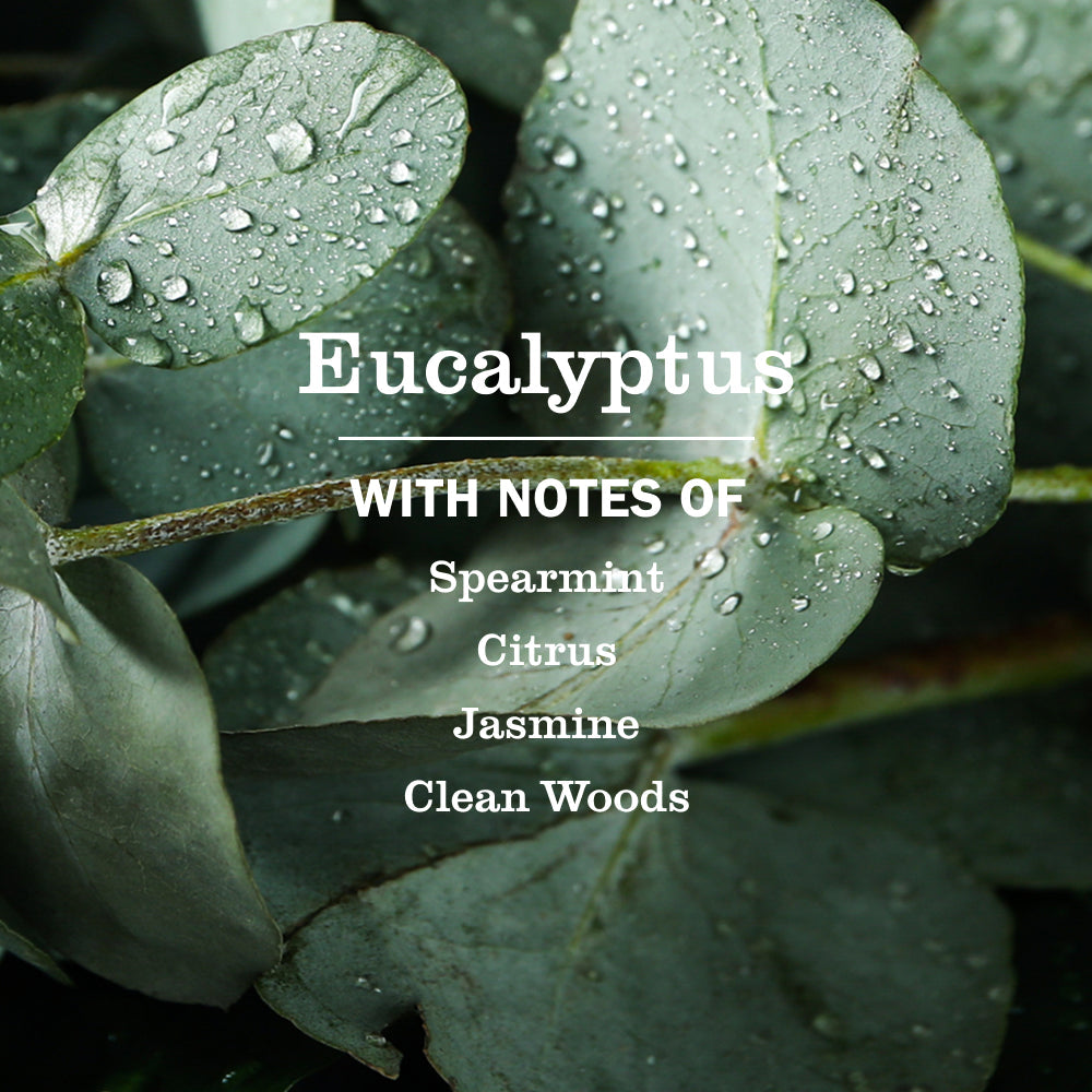 Home Care Eucalyptus Multi-Surface Everyday Cleaner