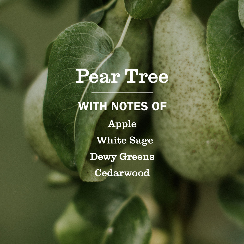 Home Care Pear Tree Dish Soap