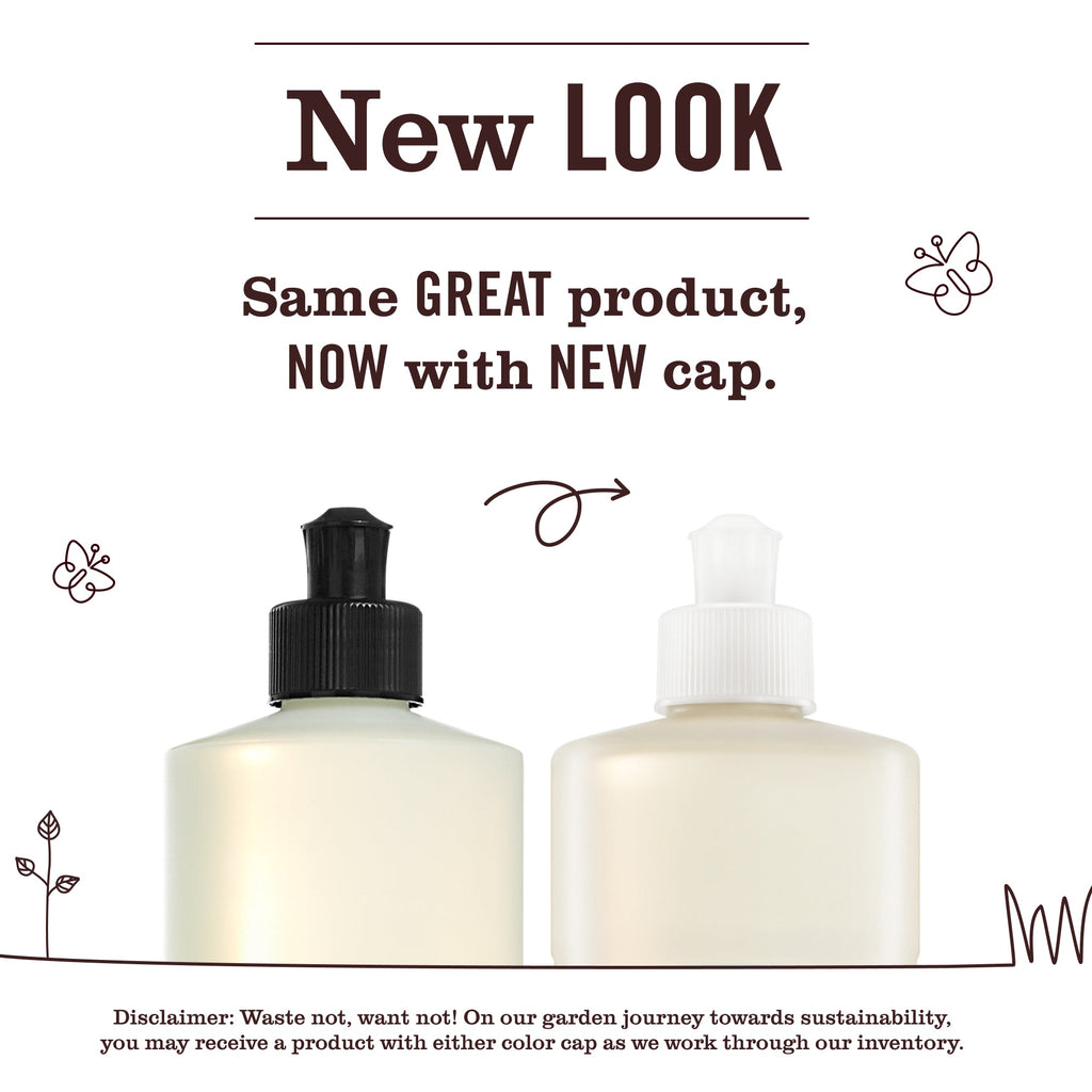 Mint Dish Soap - Home Care