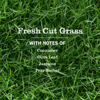 Home Care Fresh Cut Grass Room Freshener