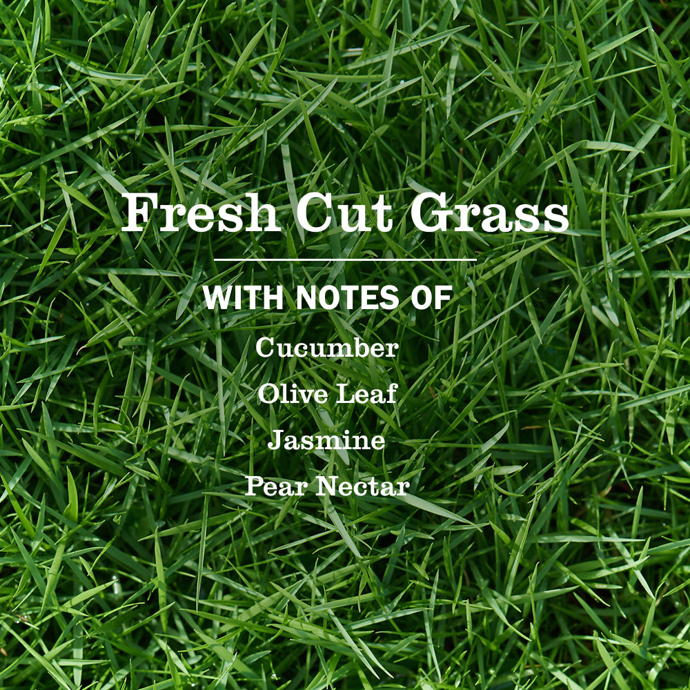 Multi-Surface Everyday Cleaner - Fresh Cut Grass