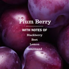 Home Care Plum Berry Liquid Hand Soap