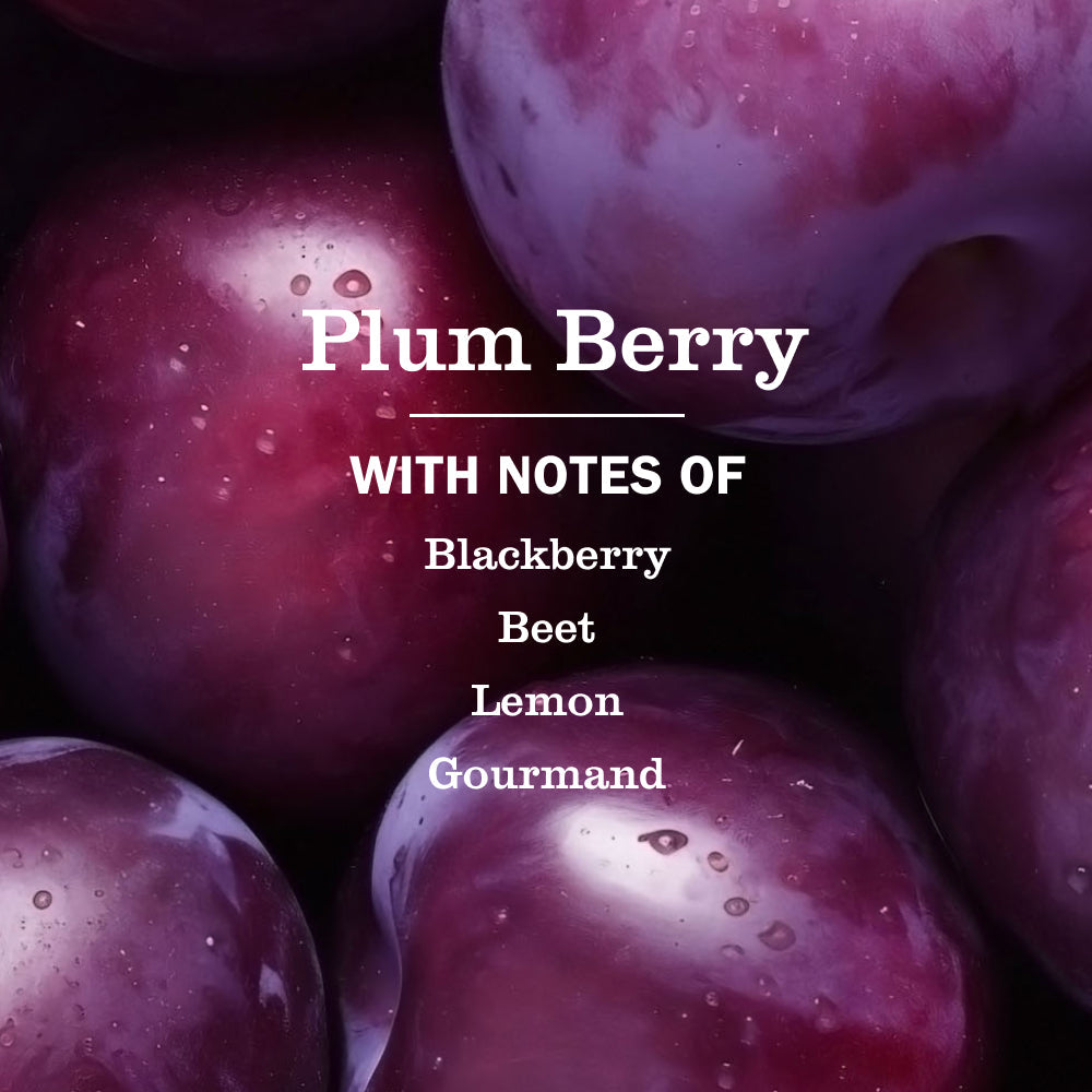 Plum Berry Liquid Hand Soap & Refill Set - Home Care