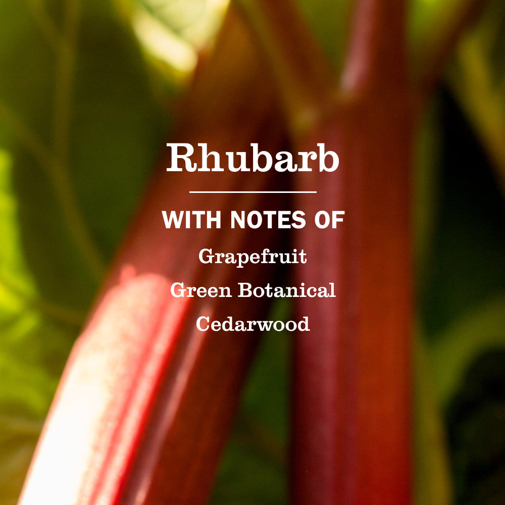 Home Care Rhubarb Liquid Hand Soap