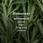 Home Care Rosemary Multi-Surface Everyday Cleaner
